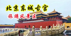 性熟美女不穿内衣软件中国北京-东城古宫旅游风景区